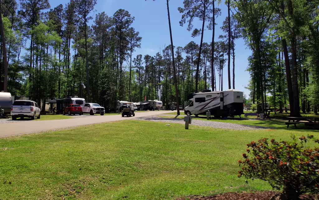 Paved road through the shaded campground at Fireside RV Resort