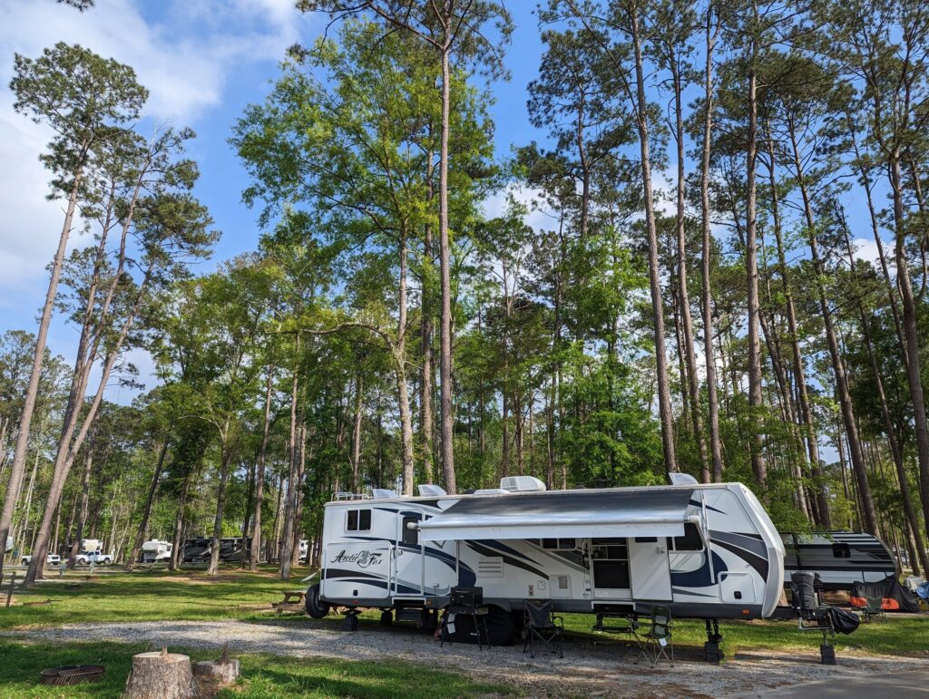 Fifth-wheel RV parked on a level gravel pad among tall pines at a Louisiana campground