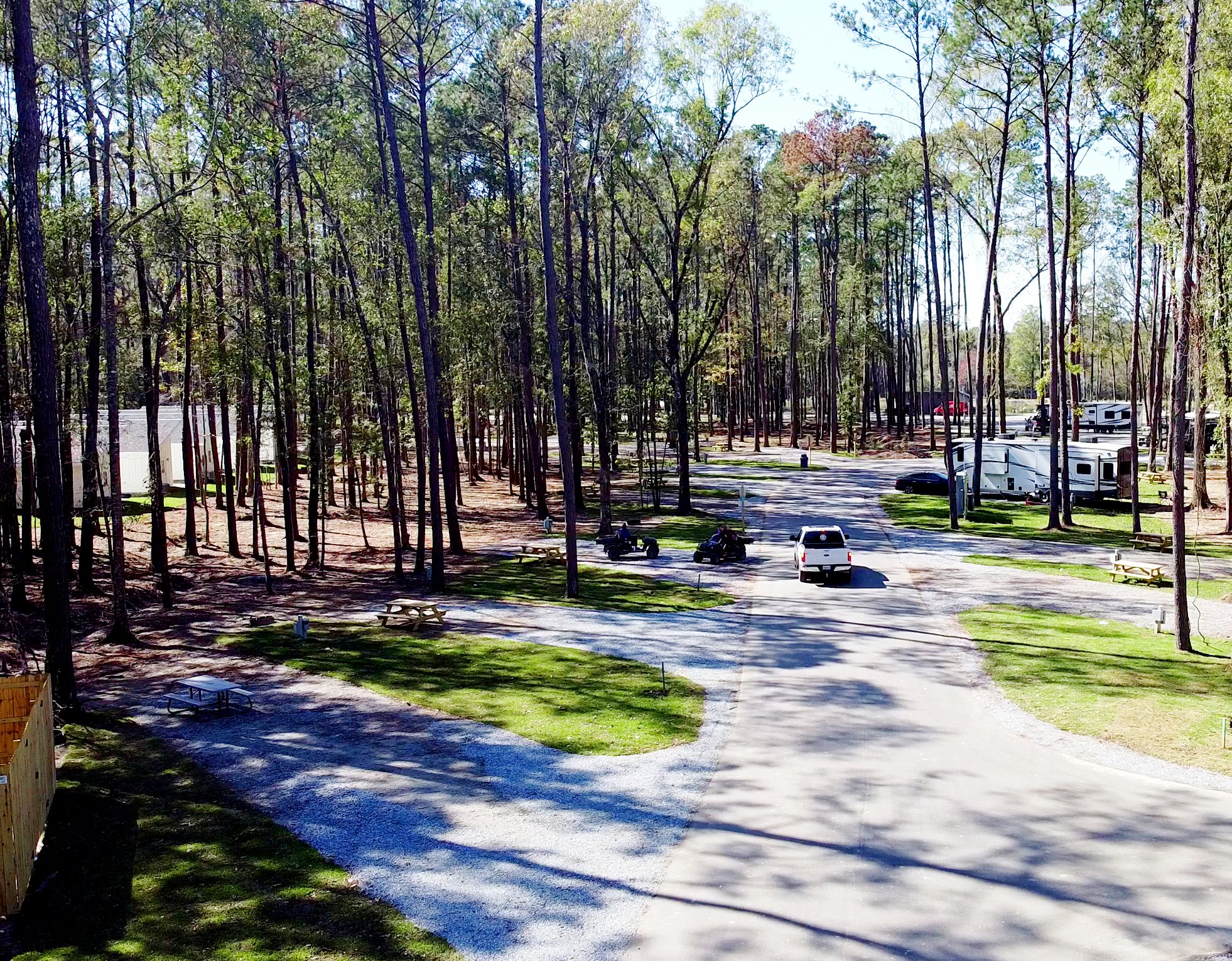 Shaded full-hookup RV sites among tall pines at Fireside RV Resort in Ponchatoula