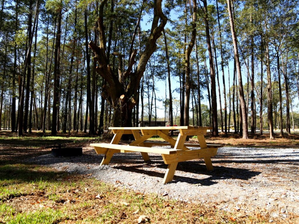 A shaded RV campsite with a picnic table and fire ring among the pines at Fireside RV Resort in Ponchatoula, Louisiana.