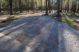 Spacious wooded full hookup RV site with fire ring at a Louisiana snowbird park