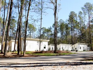 Row of furnished cabins among pine trees at Fireside RV Resort near Baton Rouge