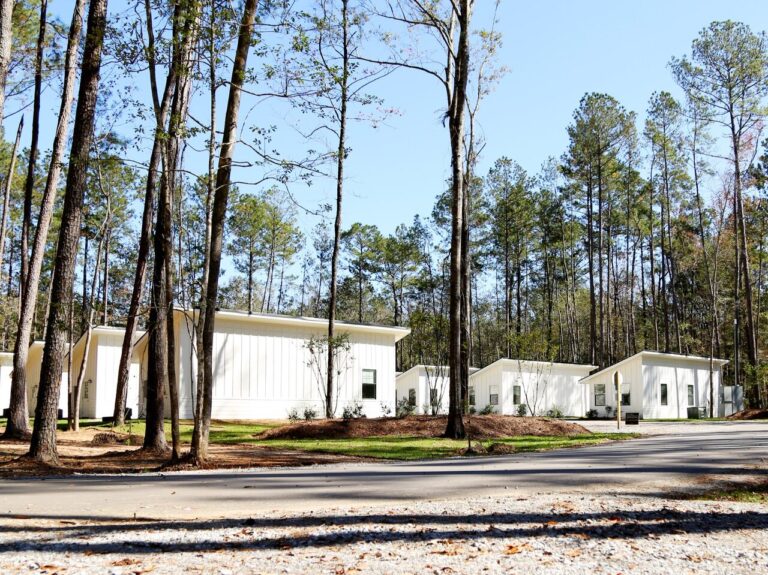 Row of furnished cabins among pine trees at Fireside RV Resort near Baton Rouge
