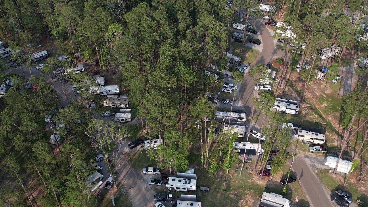 Full-hookup RV sites shaded by tall pines at a Louisiana RV resort