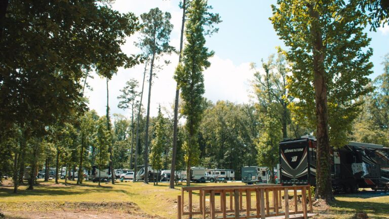 Shaded full-hookup RV sites under tall pines at Fireside RV Resort near Springfield, Louisiana