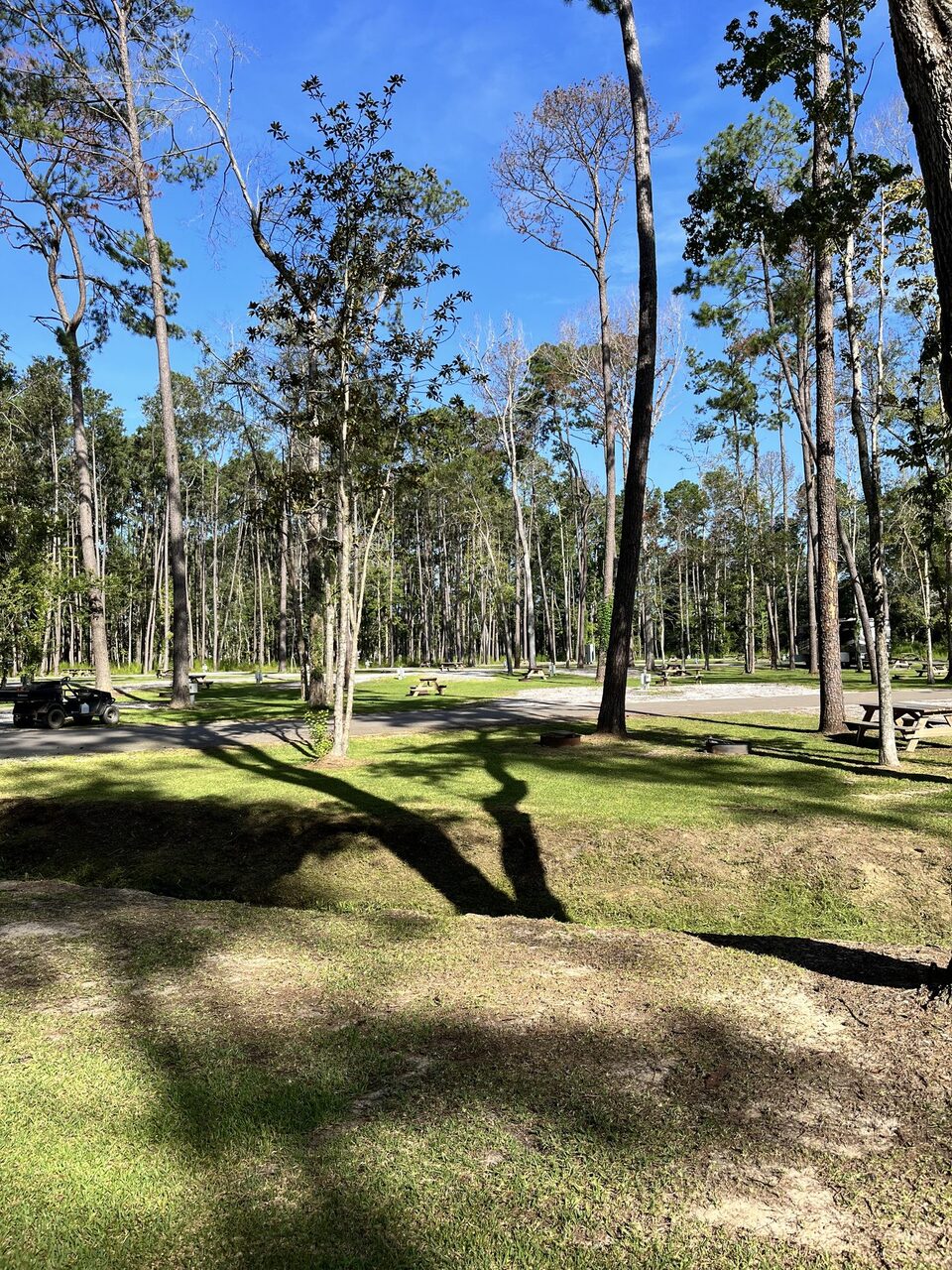 A shaded full-hookup RV site among the trees at Fireside RV Resort