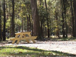 Shaded wooded RV campsite with a picnic table among tall pines near Hammond, Louisiana