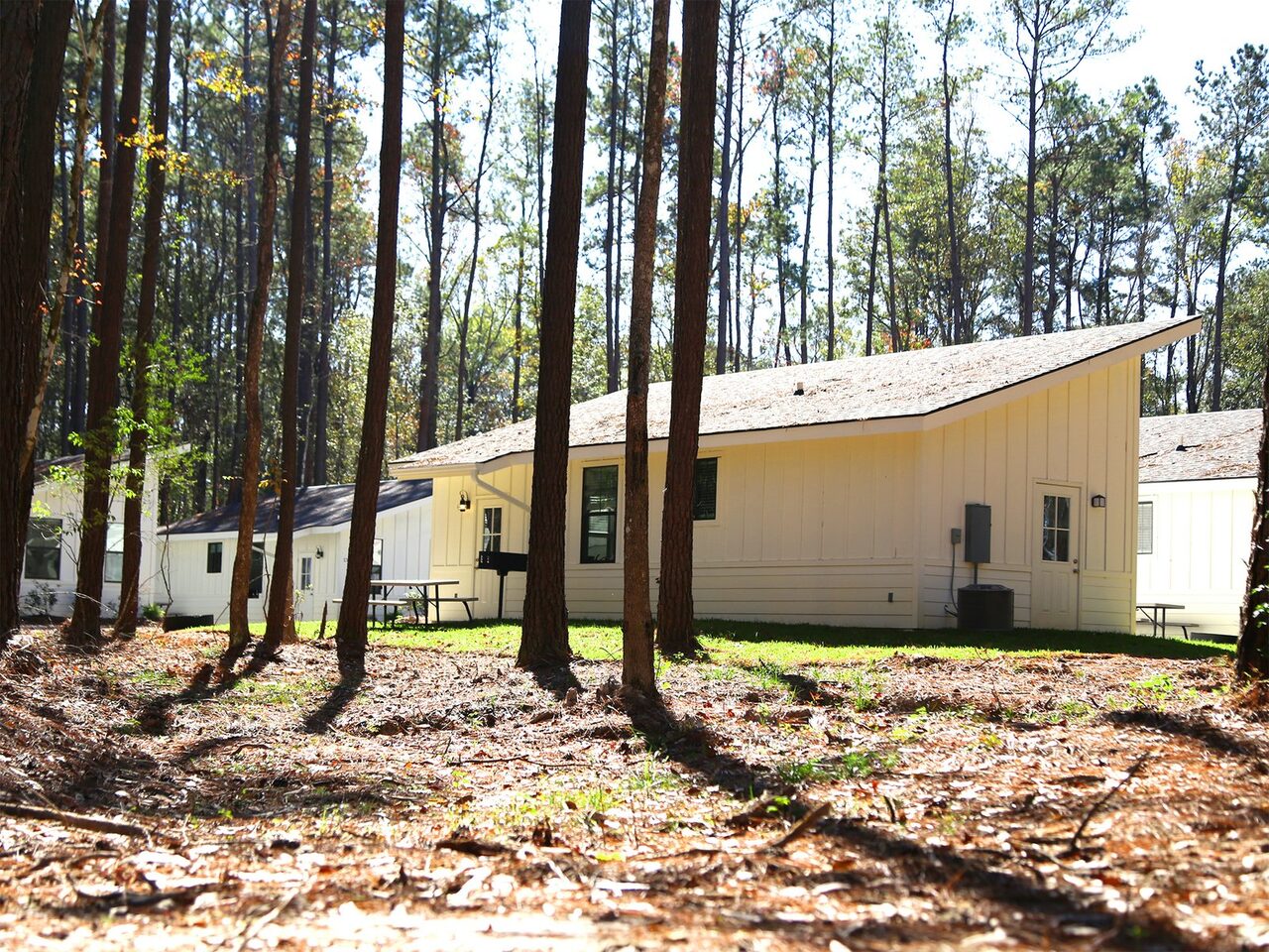 Furnished white cabins among tall pine trees at a Louisiana Northshore RV resort