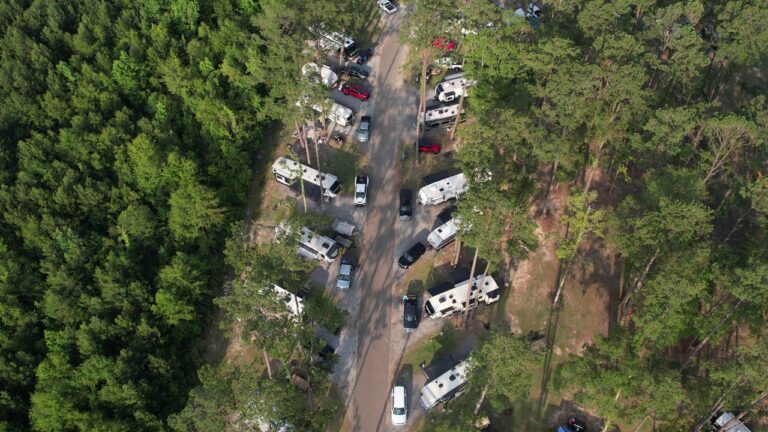 Aerial view of full hookup RV sites among pine trees at Fireside RV Resort, one of the best Gulf Coast RV parks, in Ponchatoula Louisiana