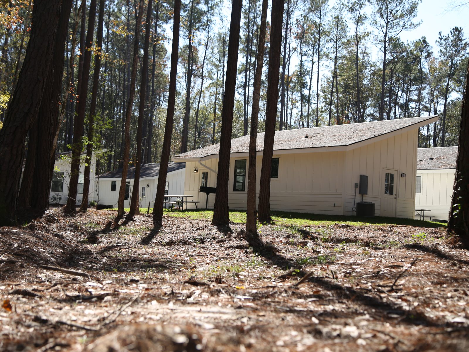 Furnished cabin nestled among tall pine trees at Fireside in Ponchatoula, Louisiana