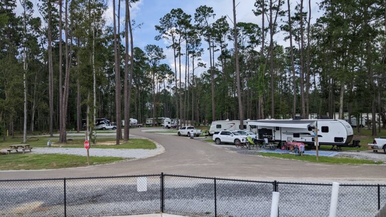 RV sites with full hookups among tall pines at Fireside RV Resort near New Orleans