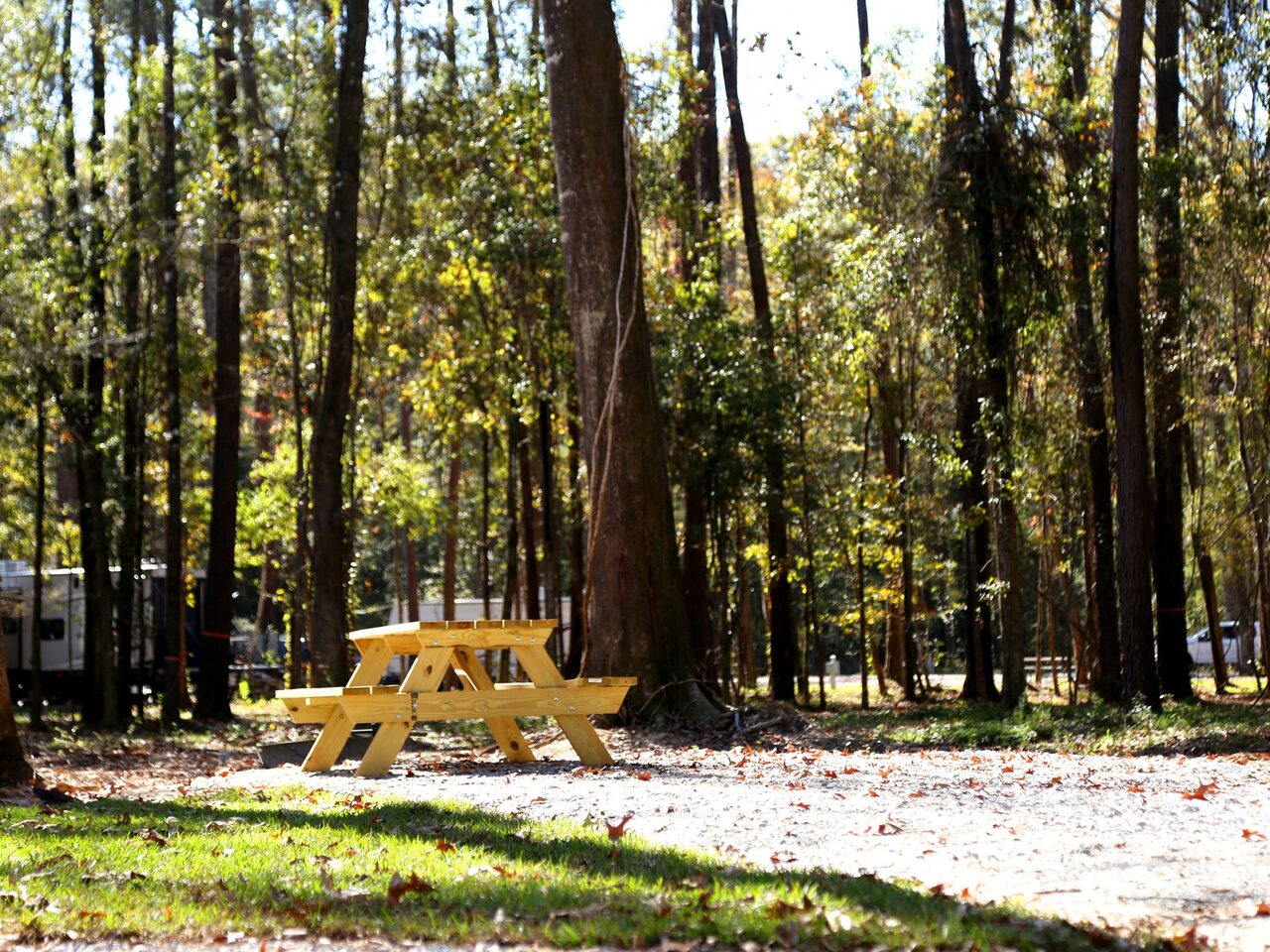 A shaded wooded RV site with a picnic table in autumn at Fireside RV Resort near the Louisiana Renaissance Festival in Hammond