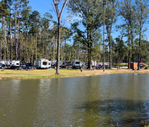 Lakeside RV lots under tall pines at Fireside RV Resort near New Orleans