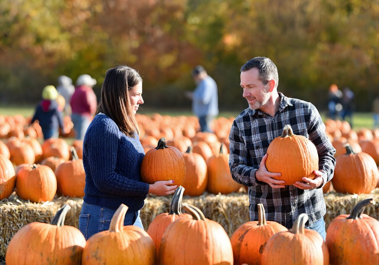 A couple picking pumpkins at a sunny fall pumpkin patch near New Orleans Louisiana