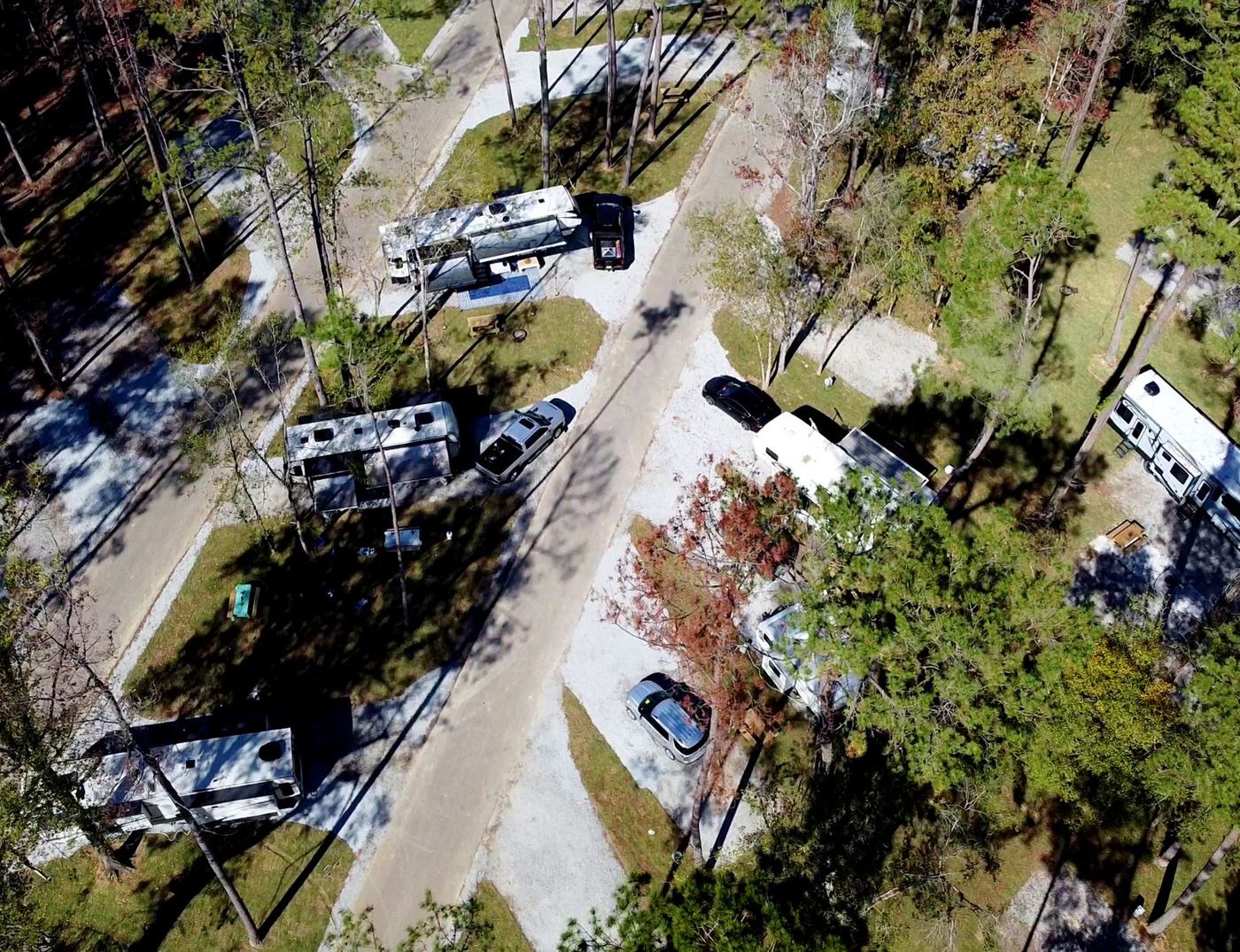 Aerial view of RVs parked on full-hookup sites among tall pines at Fireside RV Resort in Ponchatoula, Louisiana
