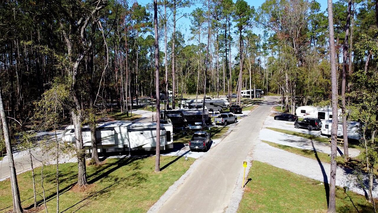 Travel trailers and pickup trucks on shaded seasonal RV sites under tall pine trees along a paved road at Fireside RV Resort in Ponchatoula, Louisiana